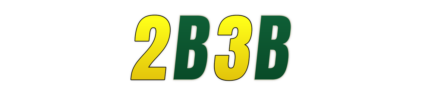 2b3b